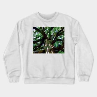 Under the old  beech tree Crewneck Sweatshirt